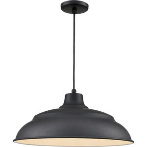 R Series 1 Light 20 inch Satin Black Outdoor Pendant